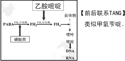 抗微生物药知识点及TANG原创记忆口诀（执业药师药理学）-图片4