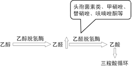 抗微生物药知识点及TANG原创记忆口诀（执业药师药理学）-图片5